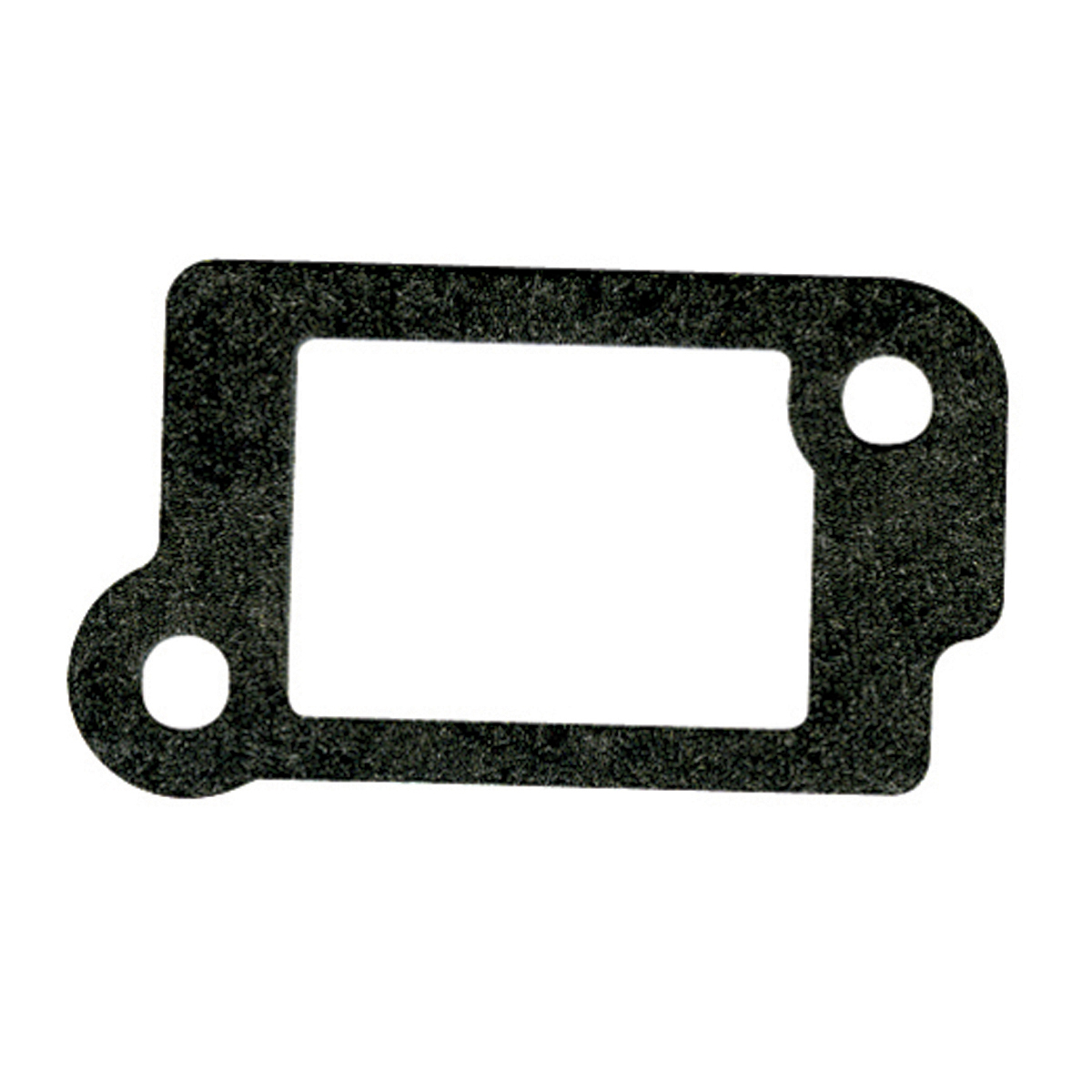 Genuine Intake Gasket – Briggs & Stratton