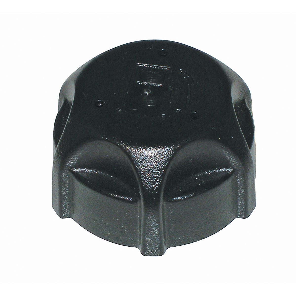 Fuel Cap (497929S X 5)